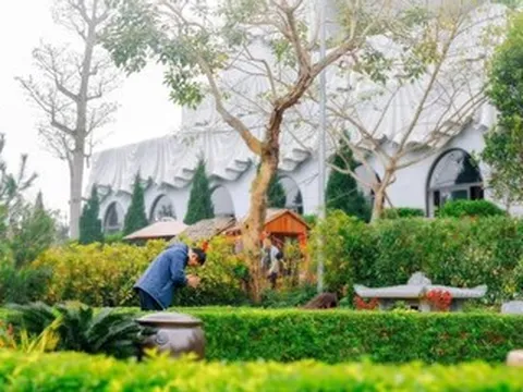 Cúng tết Thanh minh năm 2026 ngày, giờ nào đẹp?