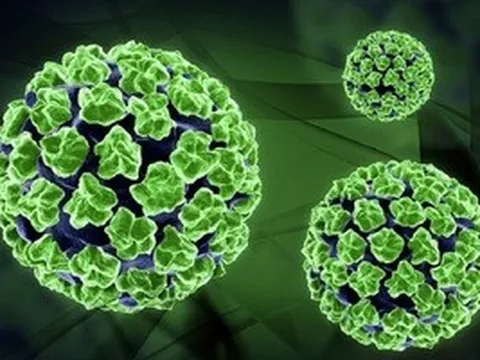 Tay chân miệng tăng nhanh, cảnh báo chủng EV71 độc lực cao