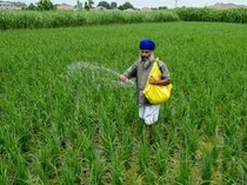 Giá mặt hàng quan trọng tăng sốc tới 83%, một quốc gia BRICS lập tức 'cầu cứu' từ Nga đến Việt Nam để nhập khẩu