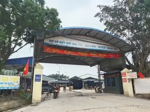 Bộ GD&ĐT yêu cầu kiểm tra suất ăn học đường trên toàn quốc