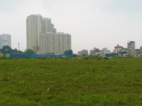 Hoàn thiện cơ chế phân cấp trong quản lý đất đai: Tăng tính chủ động cho địa phương