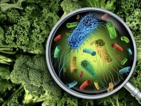 Vụ hàng chục học sinh tiểu học sốt, đau bụng: Nguyên nhân ban đầu hé lộ điều gì?