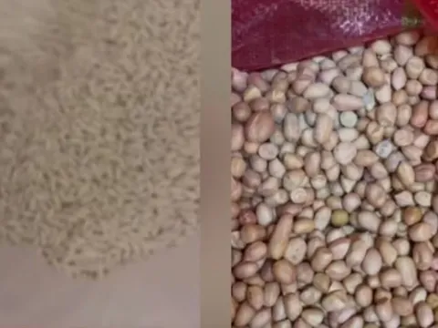 Hiệu trưởng bị đình chỉ vì xuất hiện nhiều túi lạc mốc trong bếp ăn