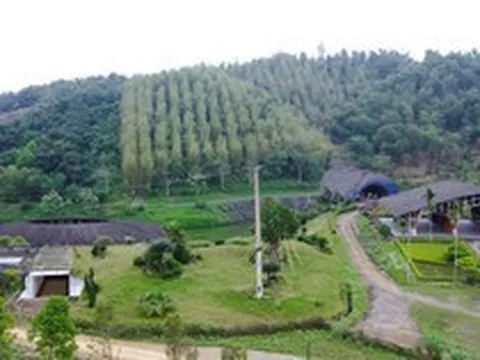 Thanh Hóa xin gỡ "nút thắt" cho công viên sinh thái tre luồng 300 tỉ đồng