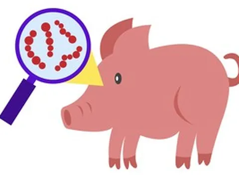 Ăn thịt heo chưa nấu chín, người đàn ông ở TPHCM nguy kịch