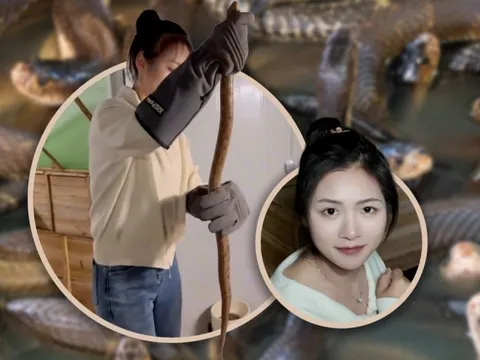 Cô gái tốt nghiệp đại học về quê nuôi 60.000 con rắn độc, kiếm tiền tỷ