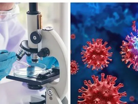 Tổ chức Y tế Thế giới công bố tin vui đến Bệnh viện Bệnh Nhiệt đới TPHCM