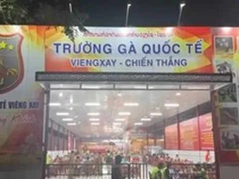 Triệt phá đường dây đá gà xuyên quốc gia, giao dịch hơn 1.200 tỷ đồng trong gần 1 tháng