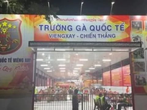 Trường gà 1.200 tỷ: Hé lộ đường dây vận hành tinh vi, kéo con bạc Việt sang Lào
