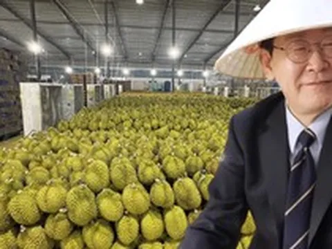 Loại quả của Việt Nam khiến Tổng thống Hàn Quốc ăn không ngừng, xuýt xoa khen ngon - Xuất khẩu sang xứ sở kim chi tăng khủng 300%