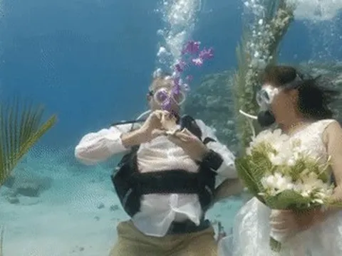 12 năm lặn biển cùng nhau, cặp đôi U60 làm đám cưới giữa lòng đại dương