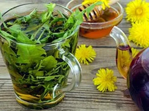 Loài cây mọc đầy vườn ở Việt Nam: Bị thờ ơ, coi là cỏ dại nhưng thế giới lại săn lùng như “thần dược”