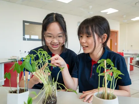Lịch nghỉ hè của học sinh cả nước mới nhất