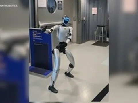 Robot hình người Bebop gây náo loạn và làm chậm chuyến bay vì mang theo pin 'cấm'