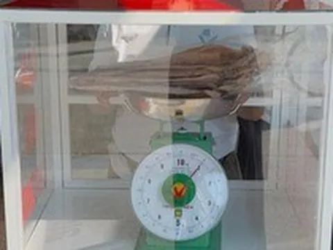 Sầm Sơn lắp cân đối chứng ở khu hải sản để chống "buôn gian bán lận"