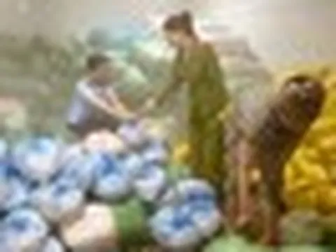 Thanh Hóa phát hiện 14 tấn bì heo không rõ nguồn gốc xuất xứ