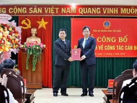 Ông Bùi Danh Đại làm Chánh án TAND tỉnh Gia Lai