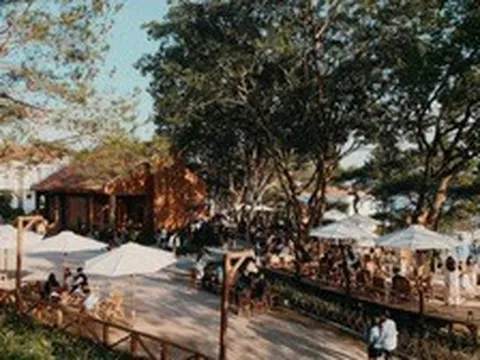 Thông Zeo, Đồi Mặt Trời hoạt động thế nào trước khi vướng lao lý?
