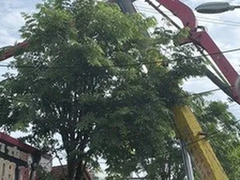Gia Lai: Cần bơm bê tông bất ngờ gãy đổ, 3 người thương vong