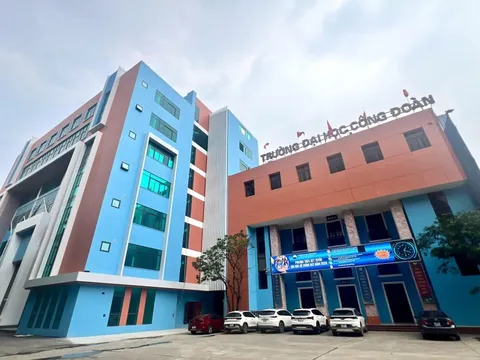 Bị phản ứng vì yêu cầu thi chuẩn đầu ra sát tốt nghiệp, trường nói gì?