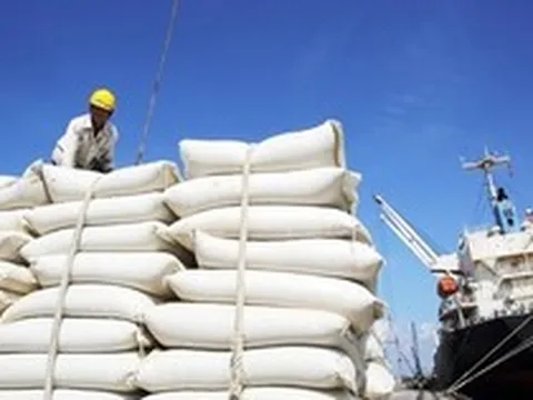 Láng giềng 'ôm' kho gạo 5 triệu tấn, một nước Đông Nam Á vẫn tăng mạnh mua gạo Việt
