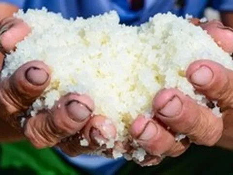 Diêm dân "rang mình" dưới nắng 40 độ, đổi lấy hơn 200 nghìn đồng mỗi ngày