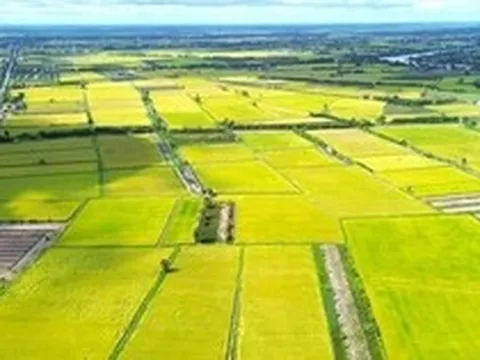 3 trường hợp được giảm 70% tiền sử dụng đất