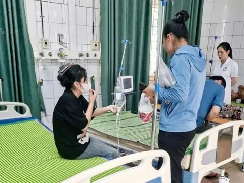 Bị rết cắn vẫn thi lớp 10, nữ sinh phải đi cấp cứu
