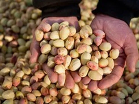 Đắt hơn sầu riêng, Việt Nam vừa thu hàng trăm triệu USD từ loại quả không thể tự trồng, giá lập đỉnh 8 năm vì xung đột Iran