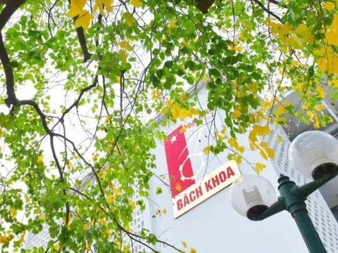 6 đại học Việt Nam vào xếp hạng thế giới của CWUR
