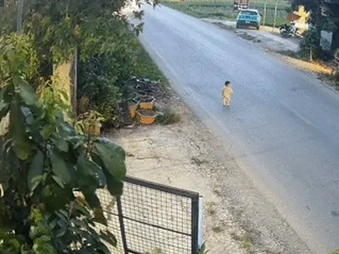 Thót tim cảnh bé 18 tháng ở Phú Thọ chạy ra đường lớn, giữa dòng xe lao vun vút