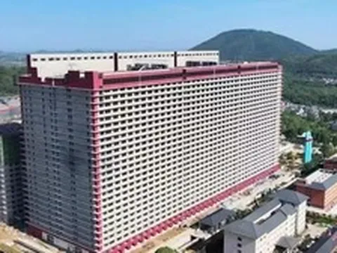 Hà Nội nghiên cứu tổ hợp chăn nuôi lợn cao tầng tại 3 xã