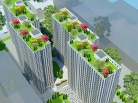 Thành phố trẻ nhất Việt Nam chuẩn bị khởi công dự án 1.000 căn nhà cho thuê đầu tiên