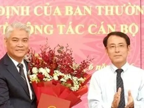 Tiếp nhận, điều động, bổ nhiệm nhân sự ở Hà Nội, TPHCM và 3 tỉnh