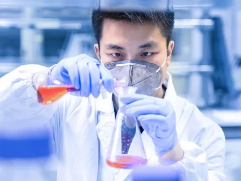 Đại học Harvard mất vị trí số 1