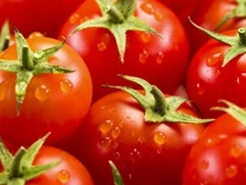 Phát minh của Trung Quốc gây sốc ngành thực phẩm: Tạo ra giống cà chua biến đổi gen có mùi của bỏng ngô, không làm ảnh hưởng đến năng suất