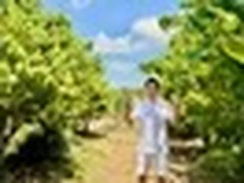 Nam nghệ sĩ Việt 41 tuổi chưa lấy vợ, từng bỏ phố về quê để làm "nông dân": Cơ ngơi 3.000m² giờ sum suê cây trái