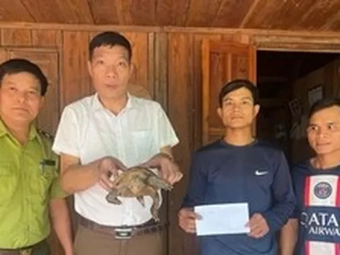 Phát hiện 'báu vật' trên đường vào rẫy
