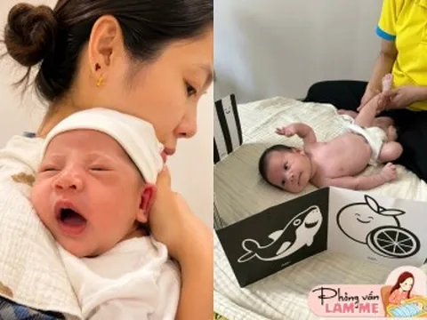 Mẹ bỉm TP.HCM thuê công ty môi giới cung cấp gói "bảo mẫu cao cấp" 44 triệu chăm con sơ sinh và kết quả nhận được