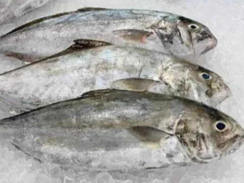 Loại cá bình dân có tên gọi "ngượng đỏ mặt", thịt ngọt, ít xương, giàu dinh dưỡng cho trẻ nhỏ