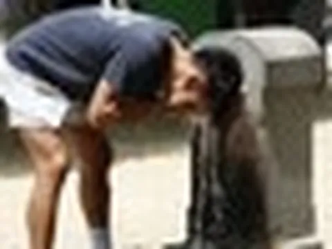 Nghiên cứu mới: Nắng nóng có thể làm máu cô đặc, tăng nguy cơ đột quỵ