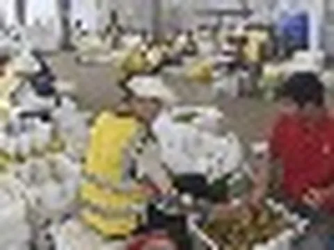 Thương lái Trung Quốc đến tận vườn gom mua một thứ, nhiều nông dân Campuchia đổi đời, đua nhau xây nhà mua xe