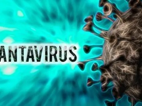 Bộ Y tế thông tin mới nhất về bệnh do virus Hanta