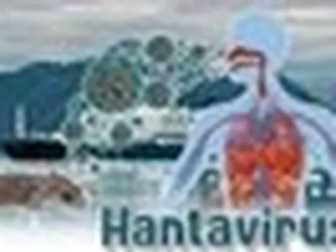 Bộ Y tế lên tiếng về dịch bệnh do virus Hanta