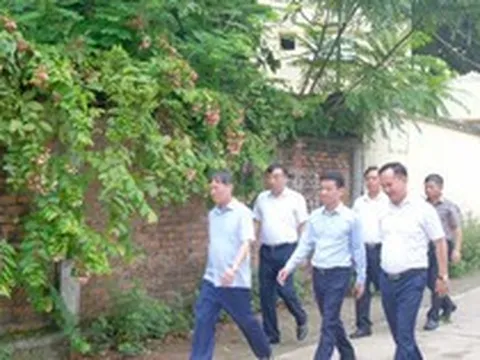 Hà Nội phấn đấu hoàn thành bàn giao đất nông, lâm trường về địa phương trong tháng 8-2026