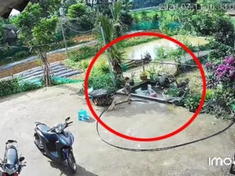 Bé trai 4 tuổi ở Tuyên Quang hô hoán, cứu em gái 2 tuổi thoát khỏi đuối nước