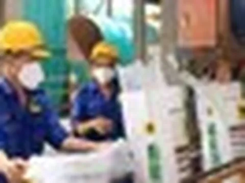 Xuất khẩu phân bón nửa năm đạt gần 1 tỷ USD, cơ hội lập kỷ lục mới