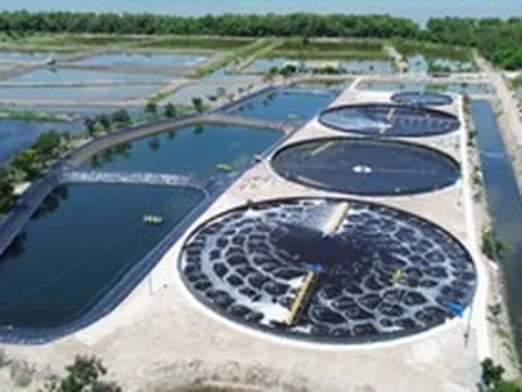 Việt Nam có một "mỏ vàng" dưới nước trị giá tỷ USD: Được làm theo cách chưa từng có