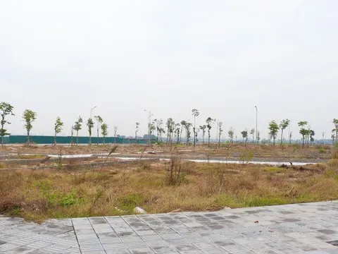 Đấu giá đất đã qua thời kỳ phải mua bằng mọi giá