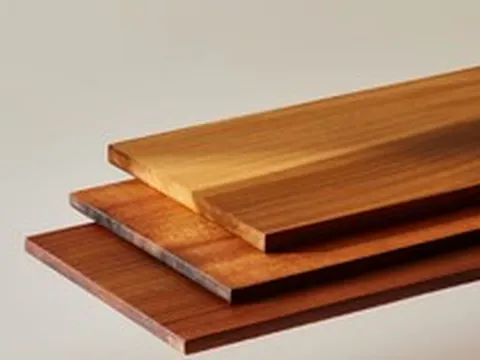 Phát minh vật liệu mới làm rung chuyển ngành xây dựng: Tạo ra gỗ siêu bền cao gấp 10 lần thép, nhẹ hơn gỗ truyền thống đến 6 lần